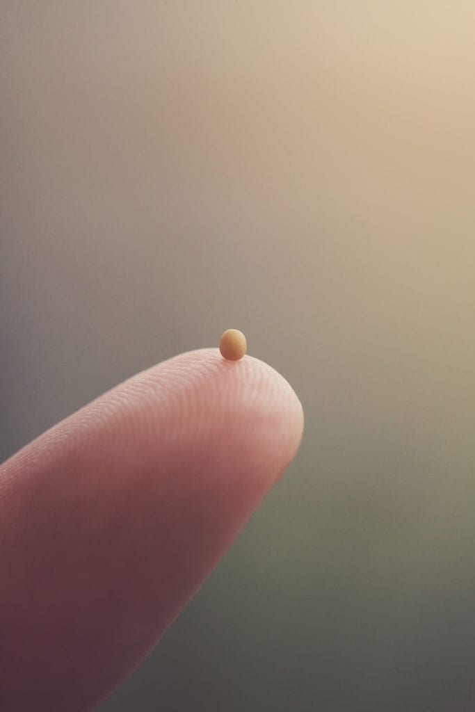 a single mustard seed resting on the tip of a finger HXNZJyzeR