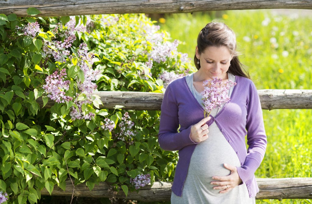 law of attraction pregnancy