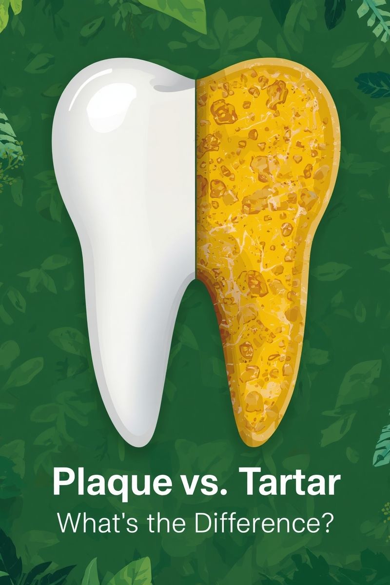 an illustration of a tooth where the left side is white and the right side is yellow,